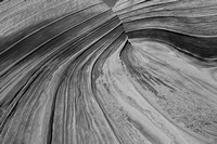 The Wave and Second Wave in B/W