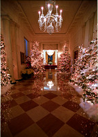 Reflected Christmas Decorations in the White House