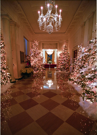 Reflected Christmas Decorations in the White House