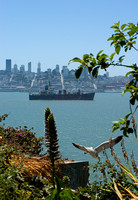 San Francisco hills, ship, and gull from Alcatraz
