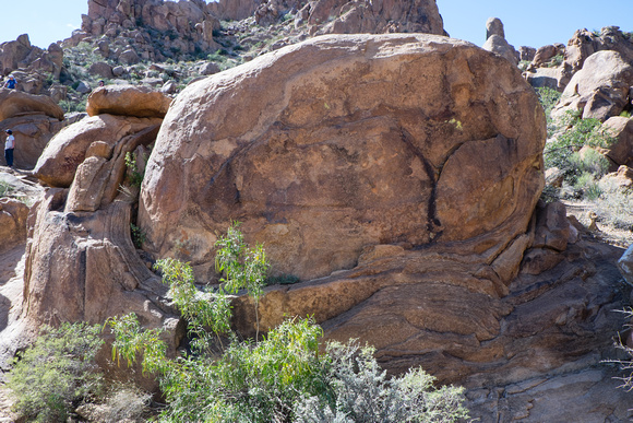 Curious rock formation at Grapevine Hills