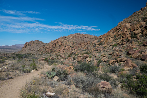 Grapevine hills - like most of the park - is highly volcanic in origin.