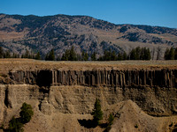 Columnar basalt layer near Tower Falls