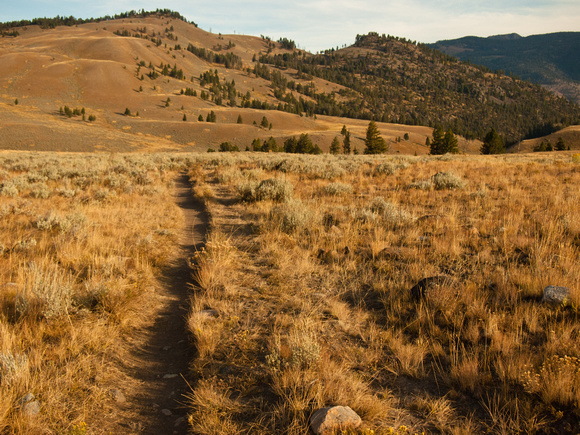Trail to the Black Canyon of the Yellowstone