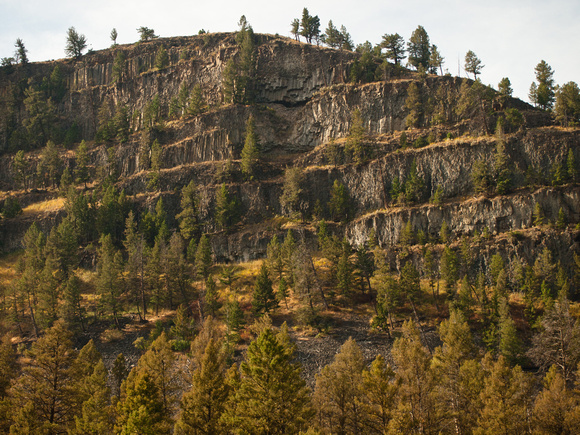 Black Canyon of the Yellowstone - layers of columnar basalt