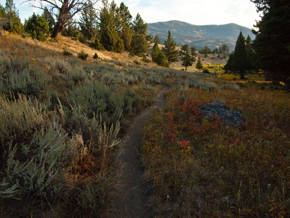 Trail to the Black Canyon of the Yellowstone