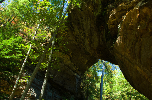 Grey's Arch, Daniel Boone National Forest, Kentucky