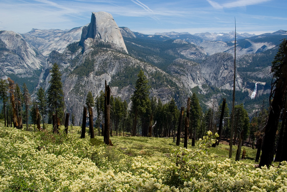 Half Dome from Panorama Trail, Yosemite National Park
