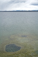 Lake Shore Geyser