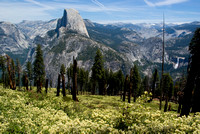 Yosemite - Panorama Trail
